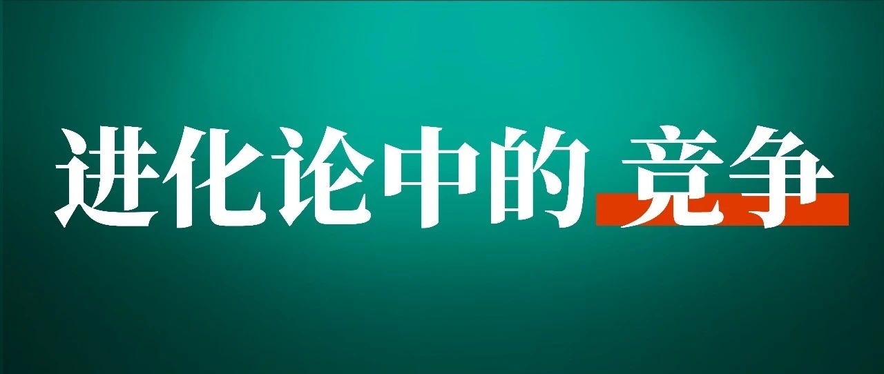 为什么有人愿意教别人赚钱？这可能是最深刻的回答