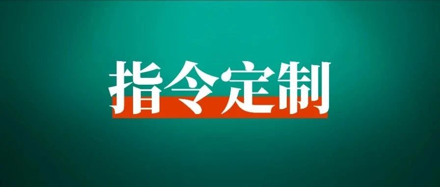 新职业：如何通过 「ai指令定制」变现？